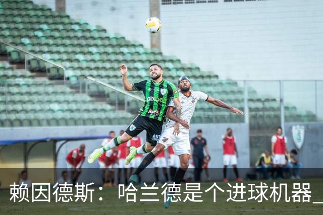 赖因德斯：哈兰德是个进球机器 但最佳前锋我选加克波